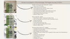 Sherwin Williams Cotton Coordinating Colors: Modern Farmhouse Paint Palette | SW 9581 (Instant Download)