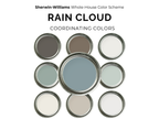 Sherwin-Williams Rain Cloud coordinating colors color wheel graphic showing a central light blue-gray paint can surrounded by nine matching neutral and soft green paint cans on a white background.