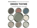 Sherwin-Williams dried thyme color swatches with coordinating colors on a white background