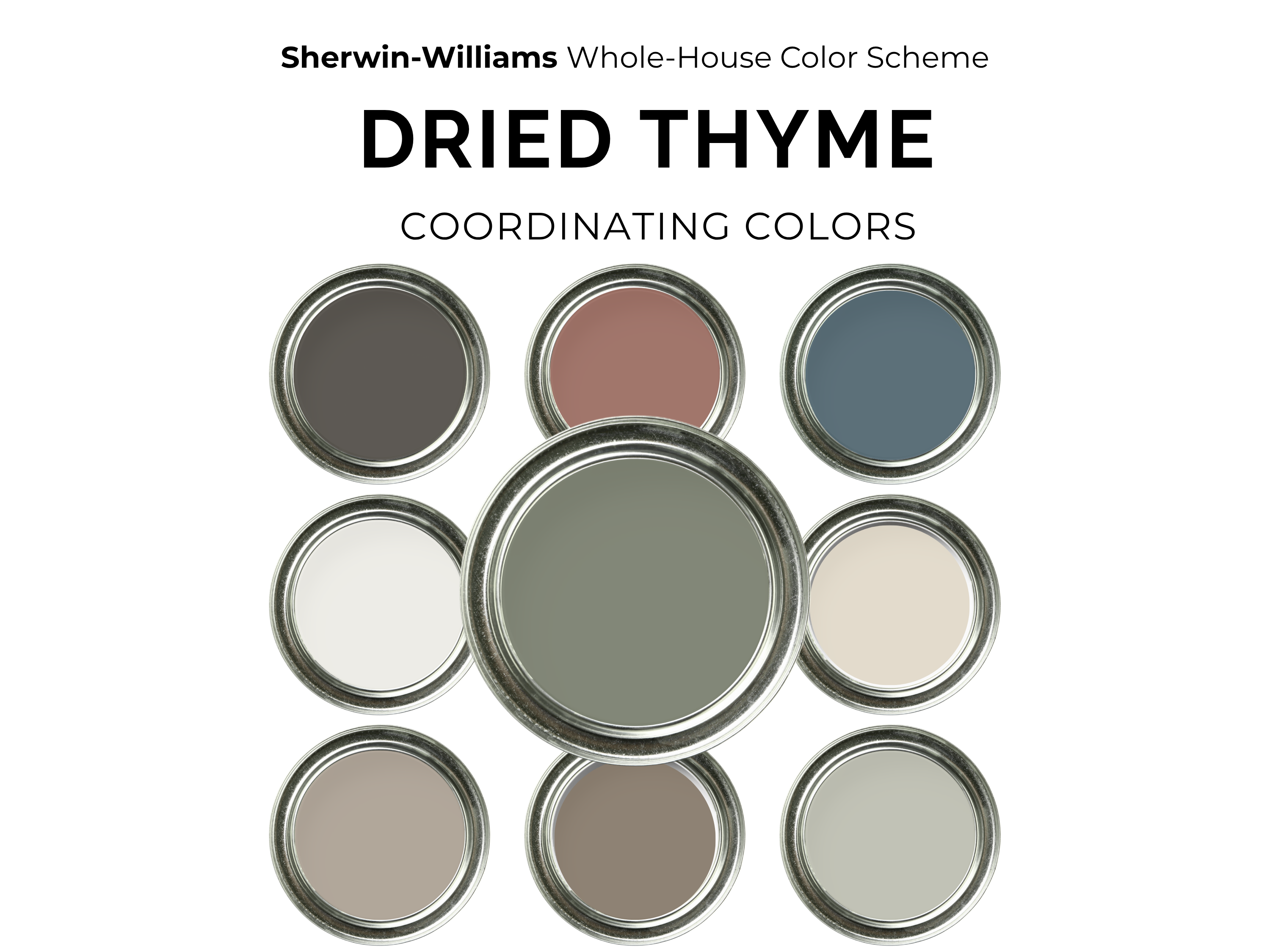 Sherwin-Williams dried thyme color swatches with coordinating colors on a white background